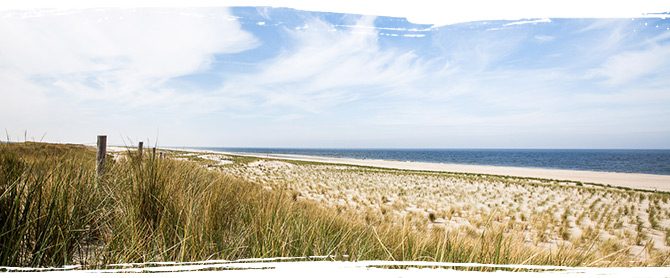 Der Strand von Petten ist nicht nur wunderschön - er bietet Wassersportlern und Urlaubern auch vielfältige Möglichkeiten.